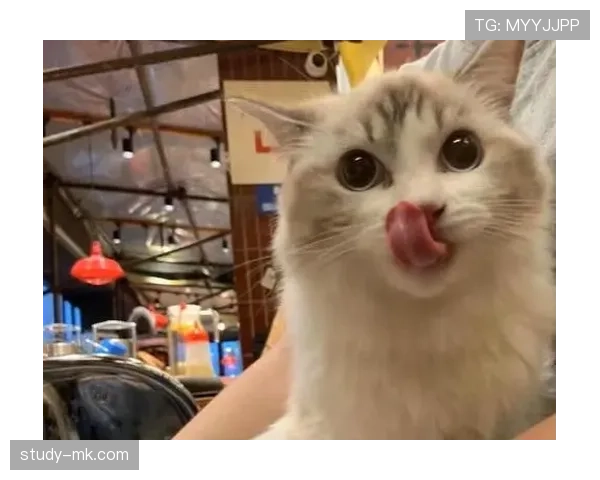 袁悦这生活，工资卡都快养不起她的猫了？