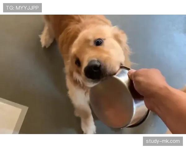 颜骏凌家的狗吃的都比我一个月伙食费贵