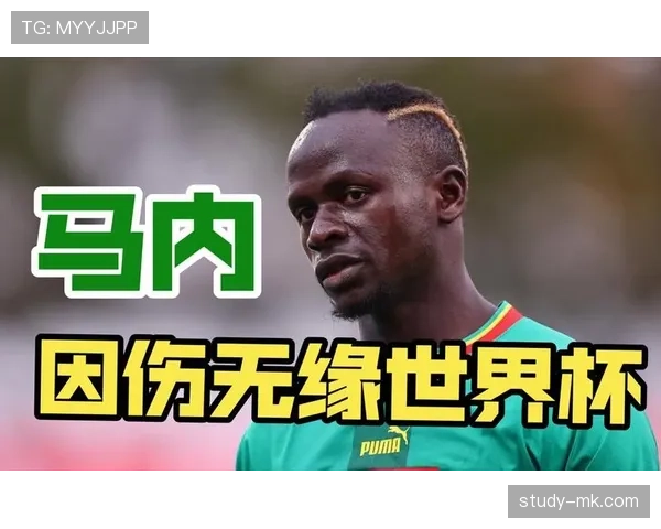 塞内加尔2026世界杯阵容预测:马内领衔,新老交替能否再创佳绩 塞内加尔2026世界杯阵容预测:马内领衔,新老交替能否再创佳绩